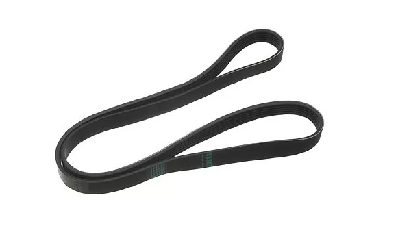 6pkBelt