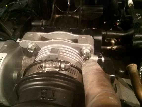 CAM05303-575