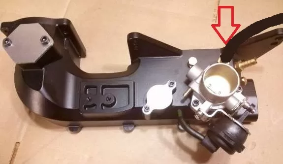 CAM05337-575